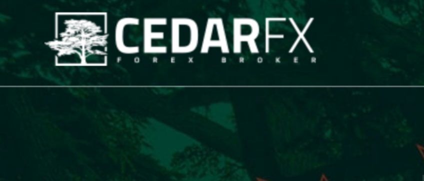 CedarFX главная