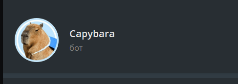 Capybara