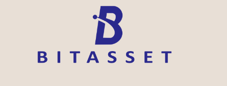 Bitassetz СКАМ