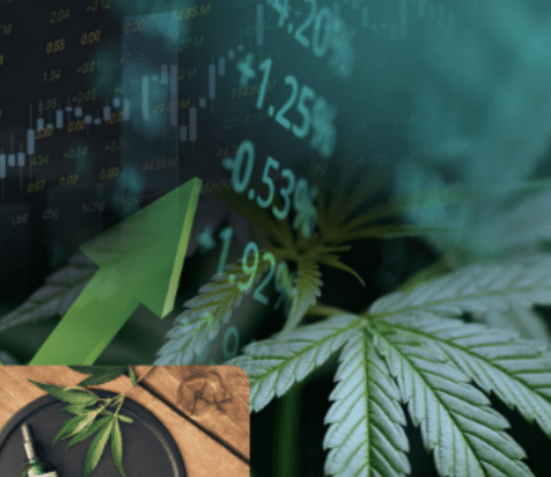 CBD Investments лого