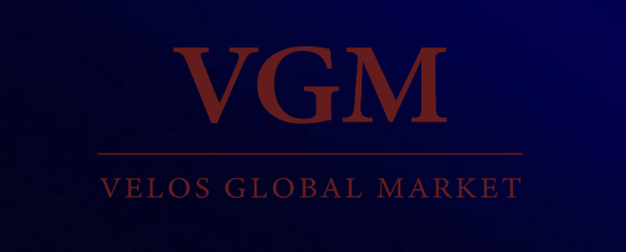 ⛔️VGM отзывы – обзор брокера и признаки СКАМа | TrustViper ⛔️VGM отзывы – обзор брокера и признаки СКАМа | TrustViper : https://trustvipers.com