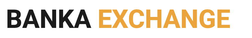 BANKA.EXCHANGE лого