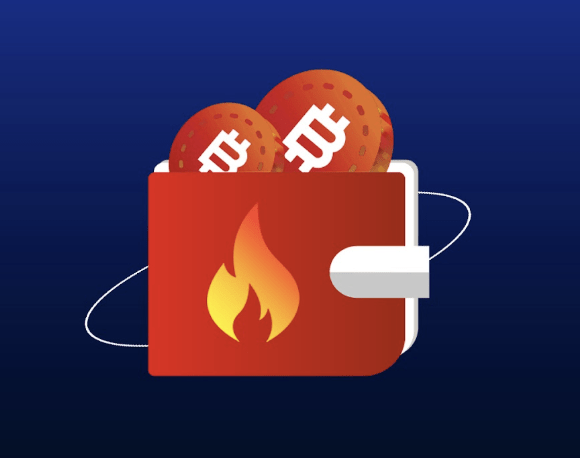 Hot Wallet обзор